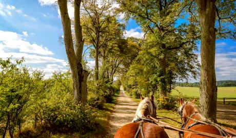 Urlaub Polen Reisen - 9 Tage Traumlandschaft Masuren