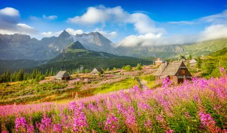 Urlaub urlaub Reisen - 9 Tage Pilger- und Kulturreise Polen