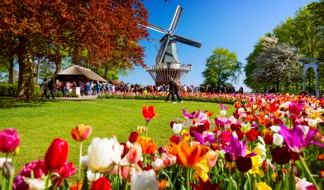 Urlaub Niederlande Reisen - 3 Tage | Amsterdam und Keukenhof