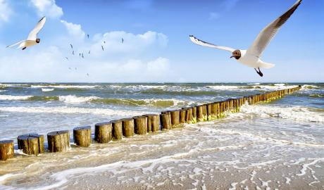Urlaub Deutschland Reisen - Inselhüpfen – Sylt, Föhr, Hallig Hooge