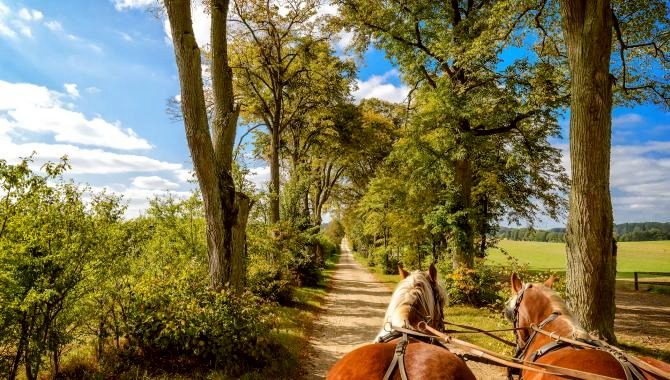 Urlaub Polen Reisen - 9 Tage Traumlandschaft Masuren