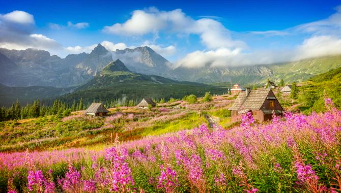 Urlaub urlaub Reisen - 9 Tage Pilger- und Kulturreise Polen