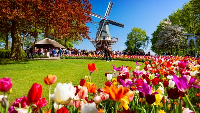 Urlaub Niederlande Reisen - 3 Tage | Amsterdam und Keukenhof